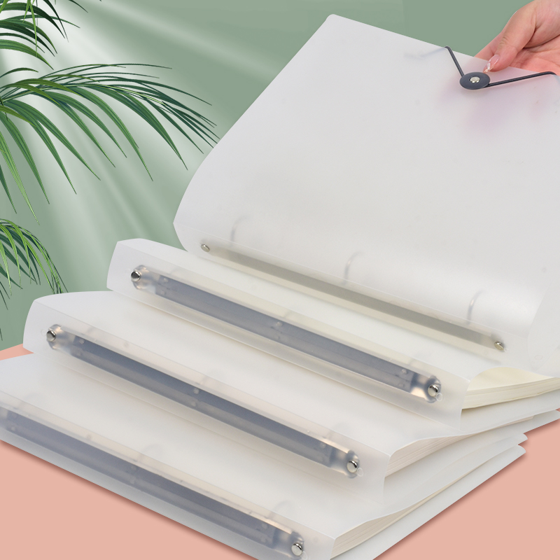 Binder Storage Box - Paquete de 3 Carpetas Transparentes Esmeriladas