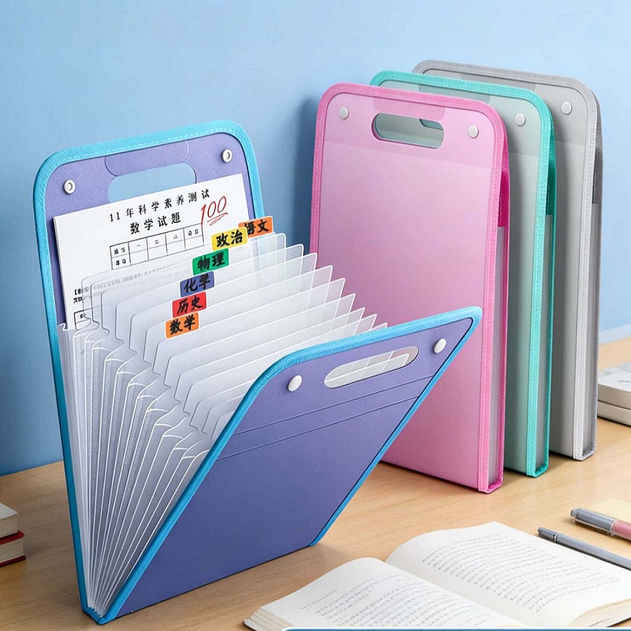 Carpeta de archivos expandible - Binder Storage Box reseña y precio
